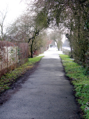 Ein verwunschener Weg