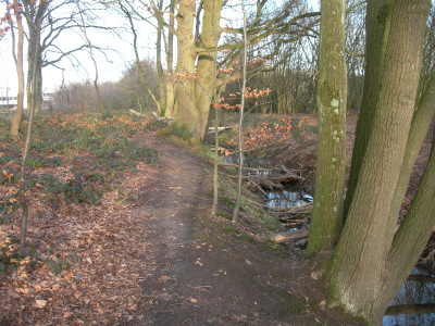 Ein wilder Waldspielplatz