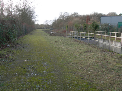 Ein eingezäunter Sumpf