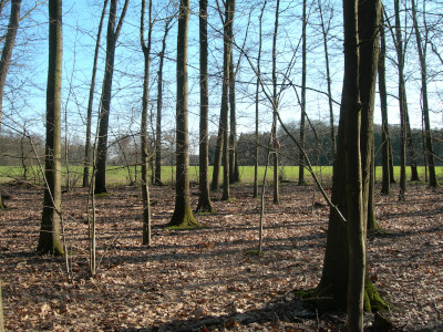 Das Naturschutzgebiet