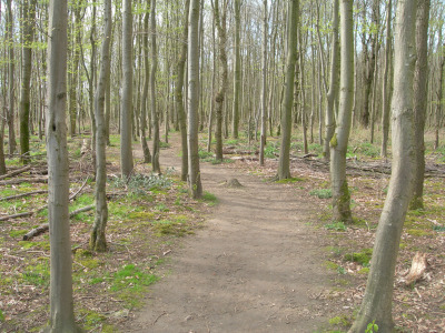 Der Neanderland-Steig